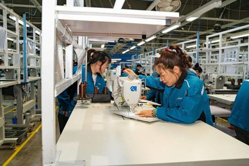 高新區(qū)職工勞動(dòng)和技能競(jìng)賽在延鋒安道拓工廠成功舉辦，網(wǎng)絡(luò)技術(shù)服務(wù)助力‘五個(gè)百萬(wàn)’競(jìng)賽落地